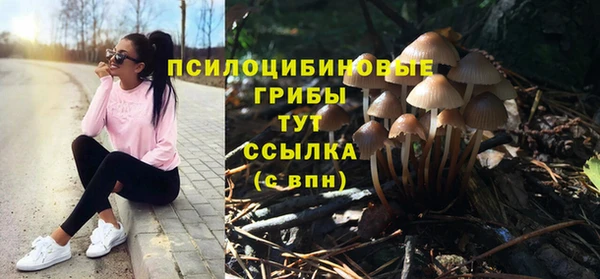 Альфа ПВП Алзамай