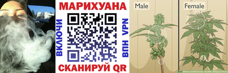 Каннабис тримм  KRAKEN зеркало  Шенкурск  хочу  